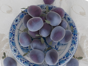 Blue plums Modèle 3D