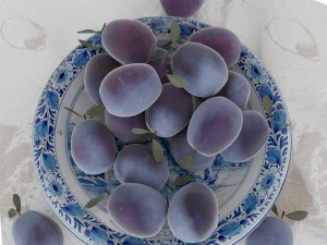 Blue plums 3D Model