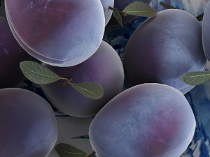 Blue plums Modèle 3D