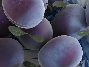 Blue plums 3D Model