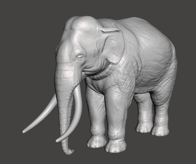 ASIAN INDIAN ELEPHANT FIGURE MODEL ANIMAL CREATURE WILDLIFE 3D Print Model .c4d .max .obj .3ds .fbx .stl .blend 