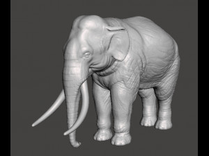 ASIAN INDIAN ELEPHANT FIGURE MODEL ANIMAL CREATURE WILDLIFE 3D Print Model