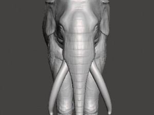 ASIAN INDIAN ELEPHANT FIGURE MODEL ANIMAL CREATURE WILDLIFE Modelo de impresión 3D