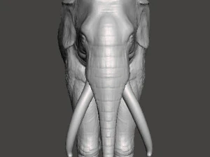 ASIAN INDIAN ELEPHANT FIGURE MODEL ANIMAL CREATURE WILDLIFE 3D Print Model