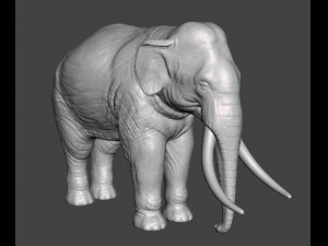 ASIAN INDIAN ELEPHANT FIGURE MODEL ANIMAL CREATURE WILDLIFE Modelo de impresión 3D