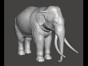 ASIAN INDIAN ELEPHANT FIGURE MODEL ANIMAL CREATURE WILDLIFE 3D Print Model