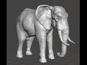ASIAN INDIAN ELEPHANT FIGURE MODEL ANIMAL CREATURE WILDLIFE Modelo de impresión 3D