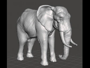 ASIAN INDIAN ELEPHANT FIGURE MODEL ANIMAL CREATURE WILDLIFE 3D Print Model