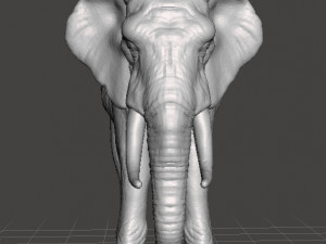 ASIAN INDIAN ELEPHANT FIGURE MODEL ANIMAL CREATURE WILDLIFE Modelo de impresión 3D