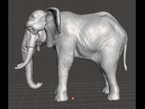 ASIAN INDIAN ELEPHANT FIGURE MODEL ANIMAL CREATURE WILDLIFE Modelo de impresión 3D