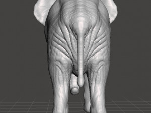 ASIAN INDIAN ELEPHANT FIGURE MODEL ANIMAL CREATURE WILDLIFE Modelo de impresión 3D