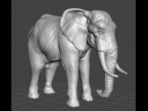 AFRICAN ELEPHANT FIGURE MODEL ANIMAL CREATURE WILDLIFE 3D Print Model