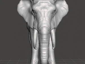 AFRICAN ELEPHANT FIGURE MODEL ANIMAL CREATURE WILDLIFE 3D Print Model