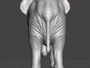 AFRICAN ELEPHANT FIGURE MODEL ANIMAL CREATURE WILDLIFE 3D Print Model