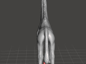 GIRAFFE FIGURE MODEL ANIMAL CREATURE WILDLIFE Modelo de Impressão 3D