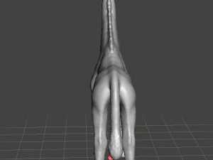 GIRAFFE FIGURE MODEL ANIMAL CREATURE WILDLIFE 3D Print Model