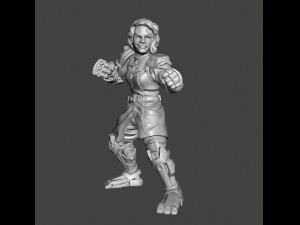 CYBORG HEROINE FIGHTER MINIATURE FIGURE FOR SCIFI GAMES RPG DND 3D 打印模型