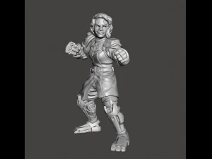 CYBORG HEROINE FIGHTER MINIATURE FIGURE FOR SCIFI GAMES RPG DND 3D Print Model
