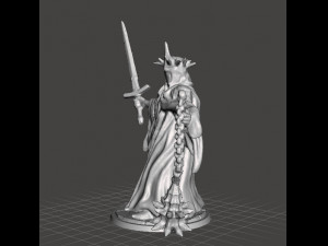 WITCH KING MINIATURE MODEL FOR FANTASY GAMES DND AND RPG 3D-Druckmodell