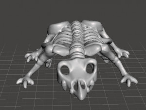 MIGHTYMAX SKELETON MONSTER 1992 PVC FIGURE MINIATURE TOY Modèles 3D en vedette