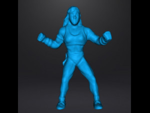 MORTAL KOMBAT SONYA PVC VINTAGE FIGURE MODEL 90s HEROINE 3Dプリントモデル
