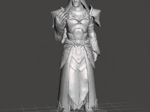 MOON TEMPLE MALE MAGE PRIEST MINIATURE MODEL FOR FANTASY GAMES DND RPG 3D Print Model