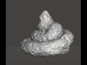 REAL POOP PLASTIC TOY MODEL FOR JOKES PRANK FRIENDS 3D Print Model