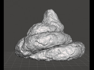 REAL POOP PLASTIC TOY MODEL FOR JOKES PRANK FRIENDS 3D Print Model