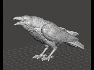 CORVO GRITANDO FIGURA MODELO ANIMAL CRIATURA FIGURA ENFEITE Modelo de Impressão 3D