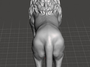 AFRICAN LION FIGURE MODEL ANIMAL CREATURE WILDLIFE REALISTIC Modèles 3D en vedette