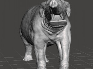 Platybelodon figure miniature model dinosaur monster dnd rpg Modelo de impresión 3D