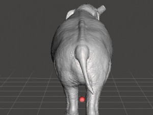 Platybelodon figure miniature model dinosaur monster dnd rpg Modelo de impresión 3D