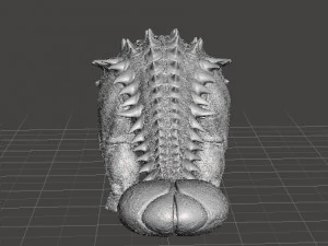 JP Ankylosaurus realistic figure miniature model dinosaur monster wildlife 3D Print Model