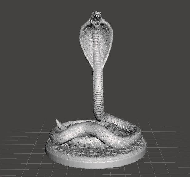 King Cobra Snake, Hobby Lobby