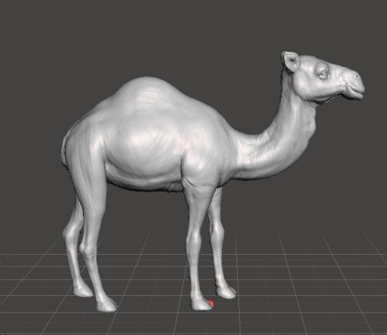 DROMEDARY CAMEL FIGURE MODEL ANIMAL CREATURE WILDLIFE RPG DND 3D 打印模型 .c4d .max .obj .3ds .fbx .stl .blend 