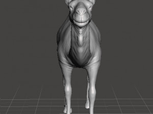 DROMEDARY CAMEL FIGURE MODEL ANIMAL CREATURE WILDLIFE RPG DND 3D 打印模型