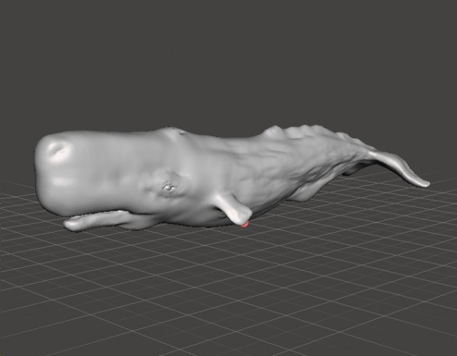 SPERM WHALE CACHALOT FIGURE MODEL ANIMAL CREATURE WILDLIFE REALISTIC 3D प्रिंट मॉडल .c4d .max .obj .3ds .fbx .stl .blend 