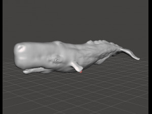 SPERM WHALE CACHALOT FIGURE MODEL ANIMAL CREATURE WILDLIFE REALISTIC Modelo de impresión 3D