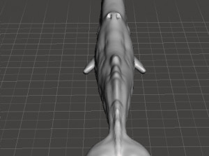 SPERM WHALE CACHALOT FIGURE MODEL ANIMAL CREATURE WILDLIFE REALISTIC 3D प्रिंट मॉडल