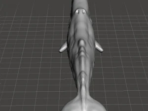 ФІГУРКА КАШАЛОТ МОДЕЛЬ ТВАРИНИ ДИКА ПРИРОДА РЕАЛІСТИЧНА 3D Принт Модель