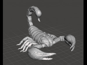 SCORPION REALISTIC FIGURE MODEL ANIMAL CREATURE WILDLIFE DND AND RPG 3Dプリントモデル
