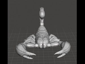 SCORPION REALISTIC FIGURE MODEL ANIMAL CREATURE WILDLIFE DND AND RPG Model do druku 3D