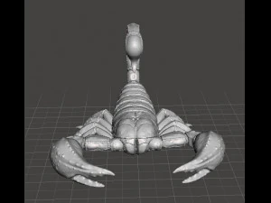 SCORPION REALISTIC FIGURE MODEL ANIMAL CREATURE WILDLIFE DND AND RPG 3D Print Model