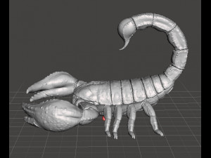 SCORPION REALISTIC FIGURE MODEL ANIMAL CREATURE WILDLIFE DND AND RPG Model do druku 3D