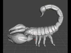 SCORPION REALISTIC FIGURE MODEL ANIMAL CREATURE WILDLIFE DND AND RPG 3D Print Model