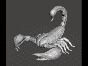 SCORPION REALISTIC FIGURE MODEL ANIMAL CREATURE WILDLIFE DND AND RPG Model do druku 3D