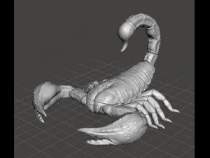 SCORPION REALISTIC FIGURE MODEL ANIMAL CREATURE WILDLIFE DND AND RPG 3D Print Model