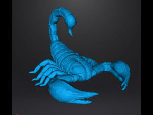SCORPION REALISTIC FIGURE MODEL ANIMAL CREATURE WILDLIFE DND AND RPG Model do druku 3D