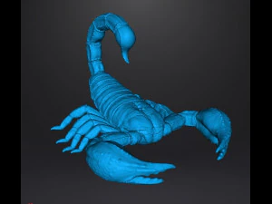 SCORPION REALISTIC FIGURE MODEL ANIMAL CREATURE WILDLIFE DND AND RPG 3D Print Model