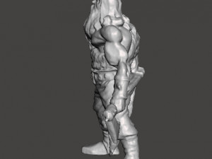 WOLF VIKING WITH AXE AND SHIELD MINIATURE MODEL FOR FANTASY GAMES DND RPG Modèles 3D en vedette